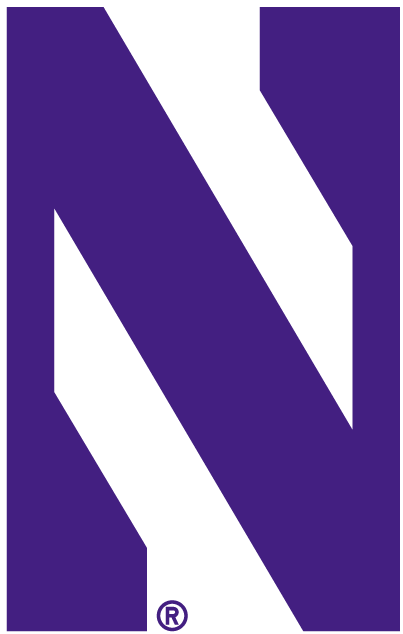 Northwestern Wildcats 1981-Pres Alternate Logo v4 diy DTF decal sticker